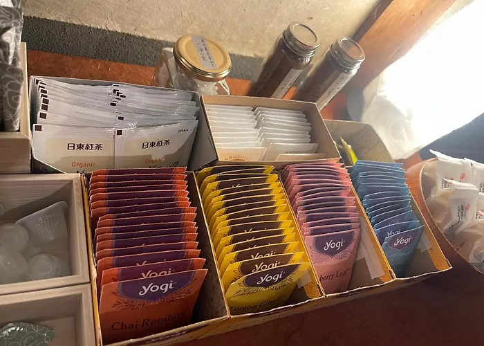 和紙にまみれるワラビーランド