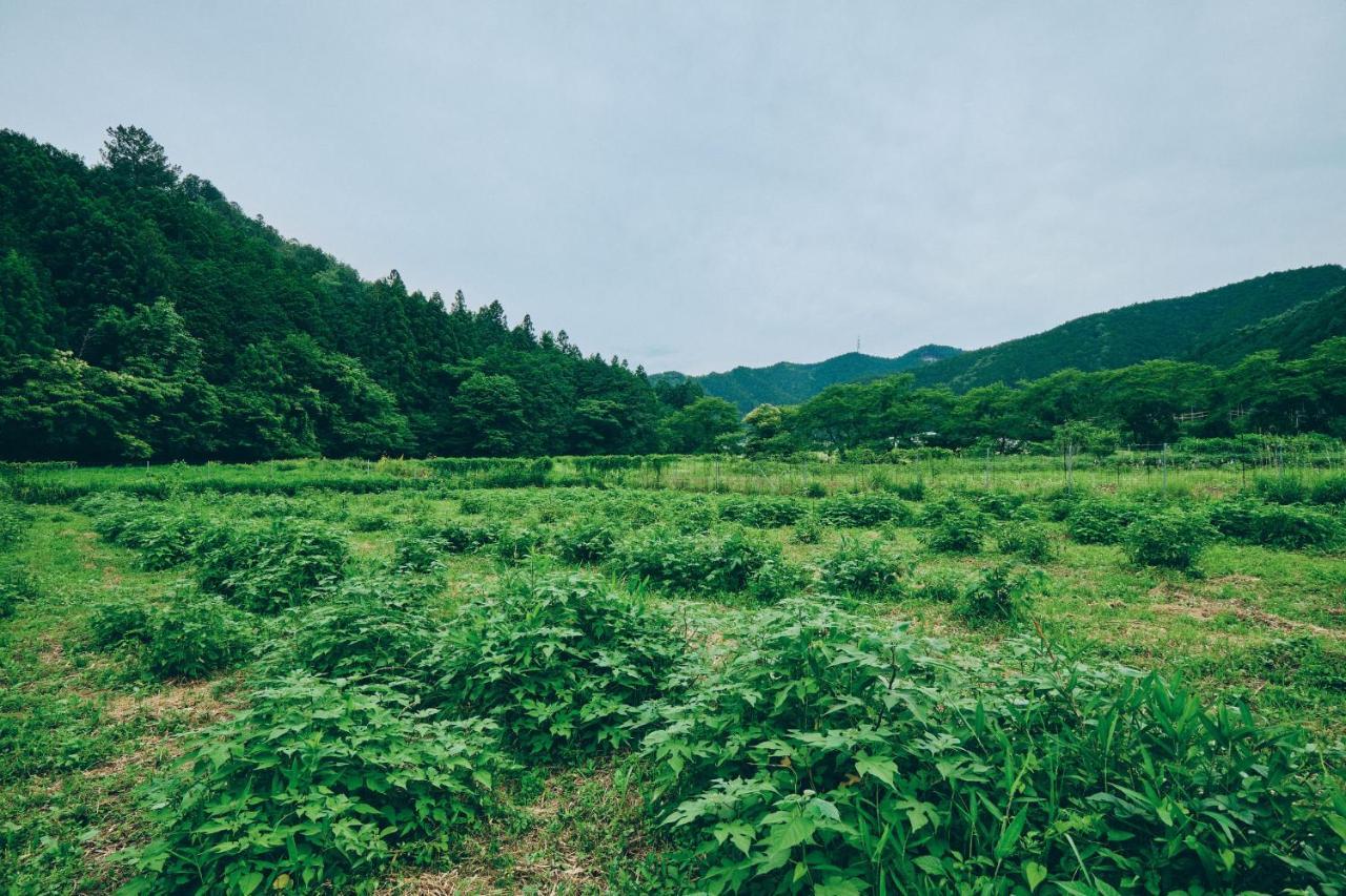 和紙にまみれるワラビーランド Farm stay Mino